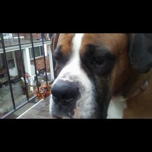 Meet your Posher, Dakota